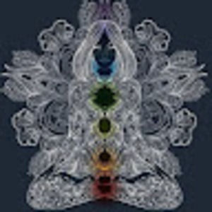 Meet your Posher, Bird